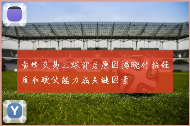 黄蜂交易三球背后原因揭晓对抗强度和硬仗能力成关键因素